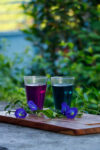 Butterfly Pea Flower Tea